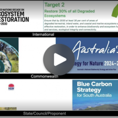 webinar screenshot of Teams call with PowerPoint slide displayed