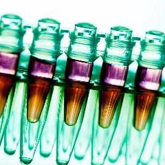 Genomics in society: policy and ethics